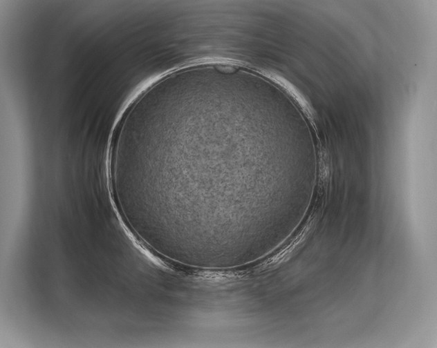 X0000113310910200909211139