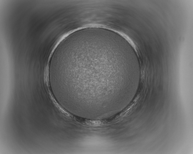 X0000113310911200909211139