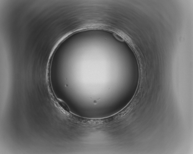 X0000113310912200909211139