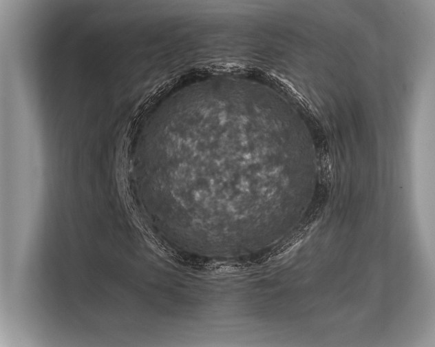 X0000113310913200909211139