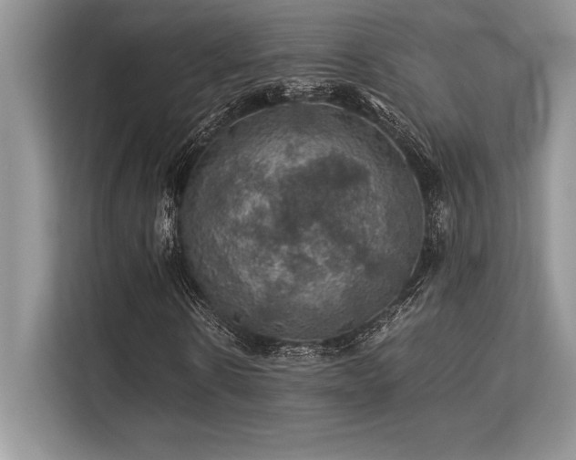 X0000113310914200909211139