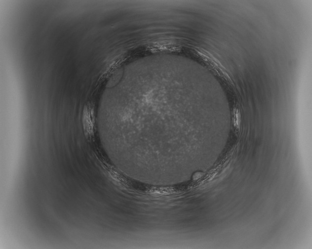 X0000113310915200909211139