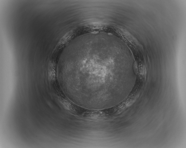 X0000113310916200909211139