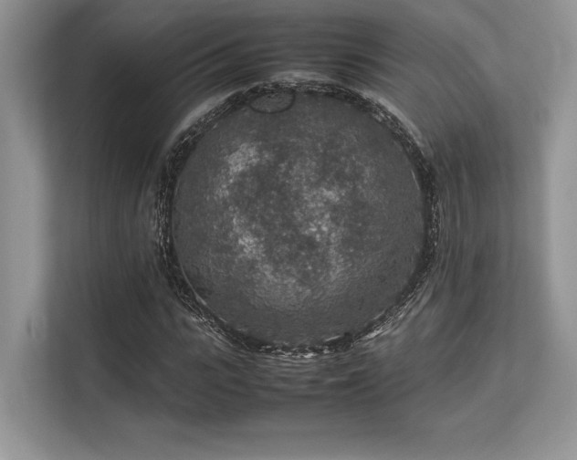 X0000113310919200909211139