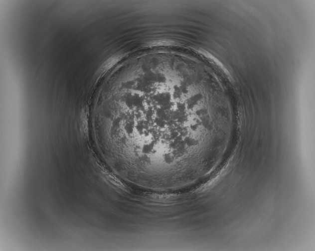 X0000113310921200909211139