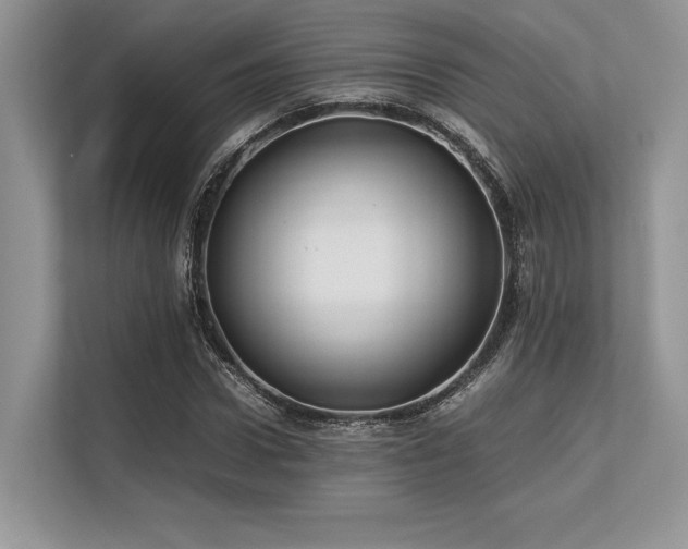 X0000113310922200909211139