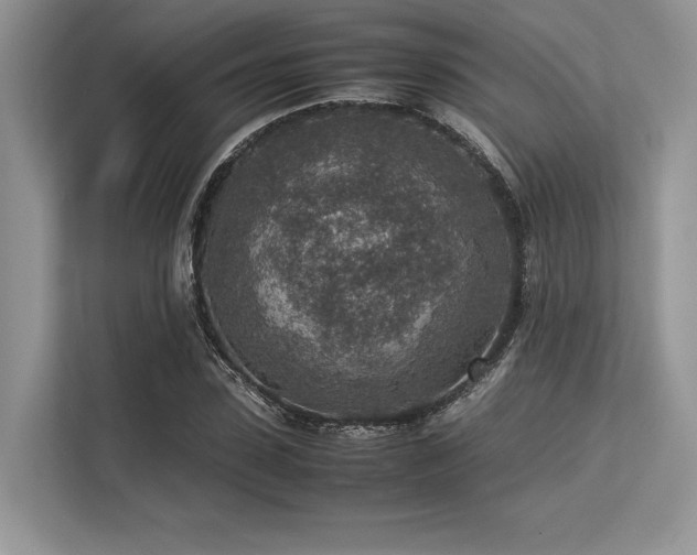 X0000113310923200909211139