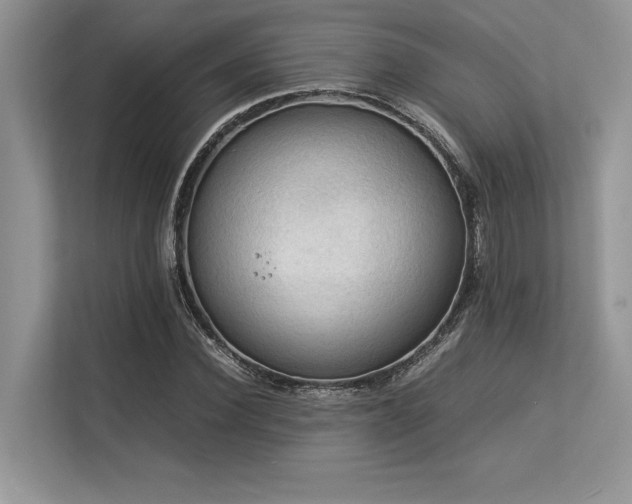 X0000113310924200909211139