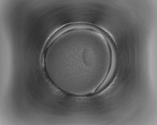 X0000113310925200909211139