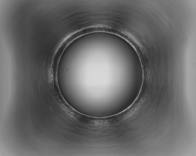 X0000113310927200909211139