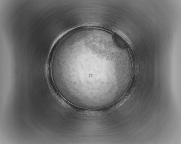 X0000113310928200909211139