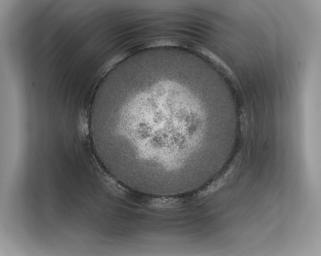 X0000113310929200909211139