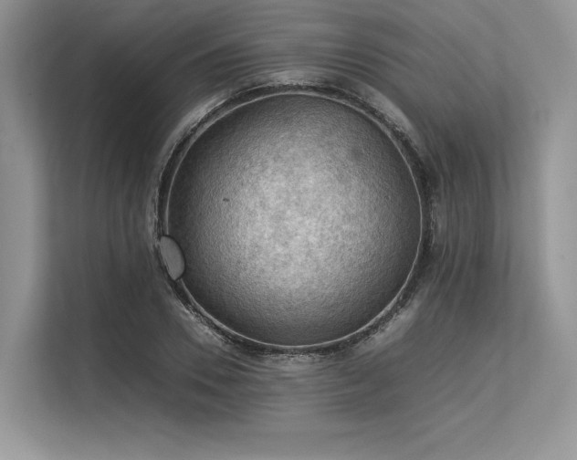 X0000113310930200909211139