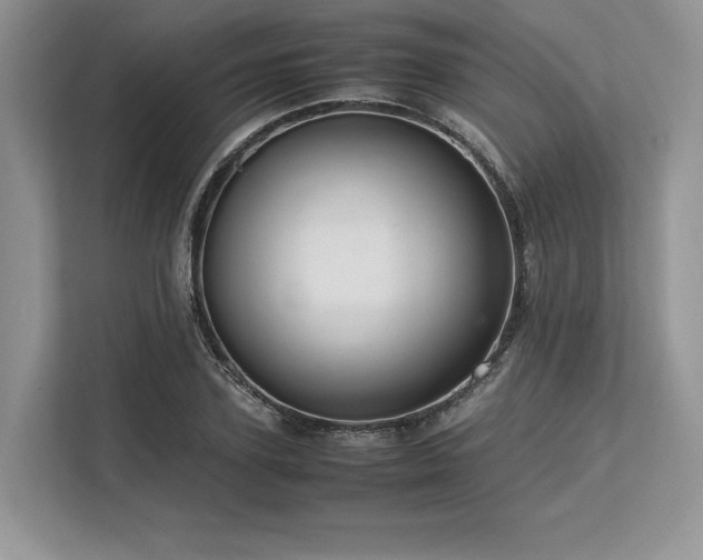 X0000113310931200909211139