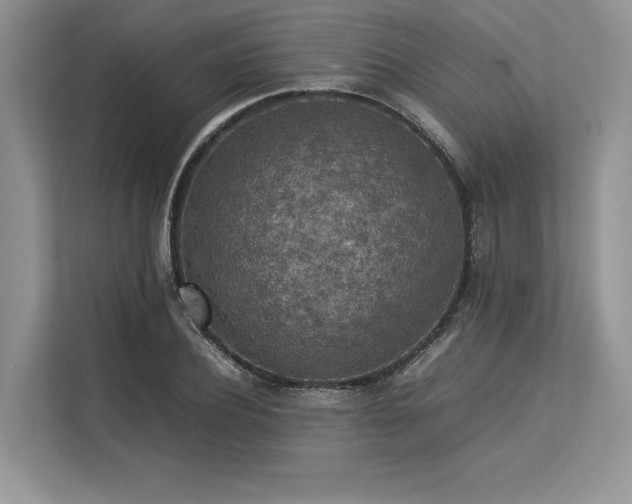 X0000113310932200909211139