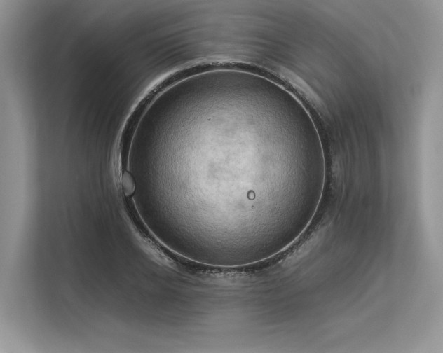 X0000113310934200909211139