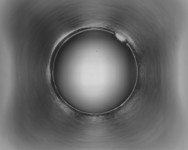 X0000113310936200909211139