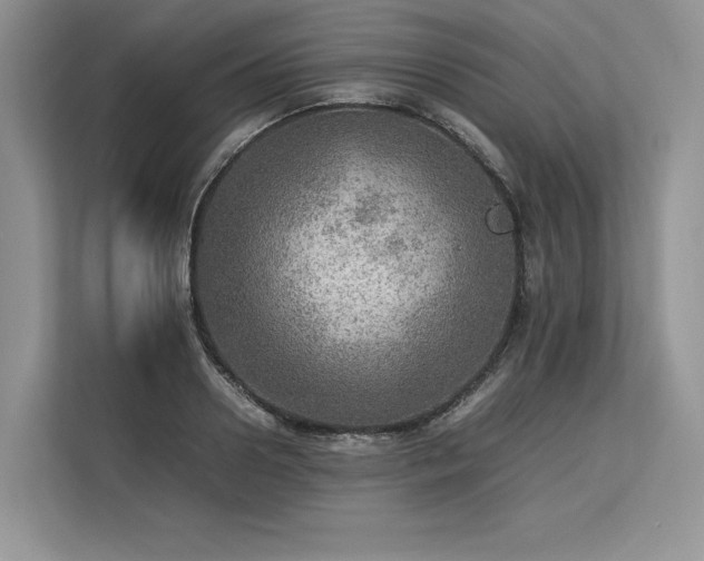 X0000113310938200909211139