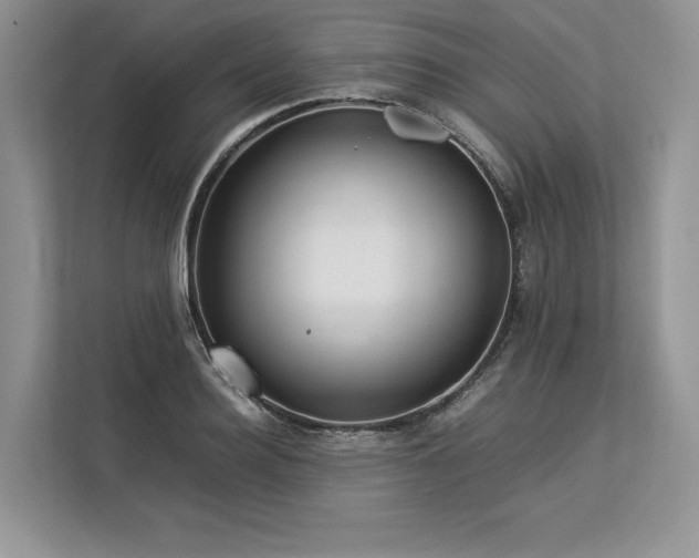 X0000113310940200909211139