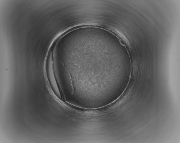 X0000113310944200909211139