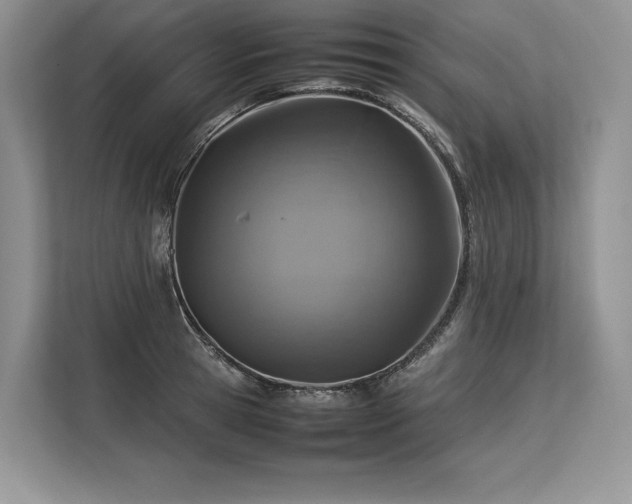 X0000113310945200909211139