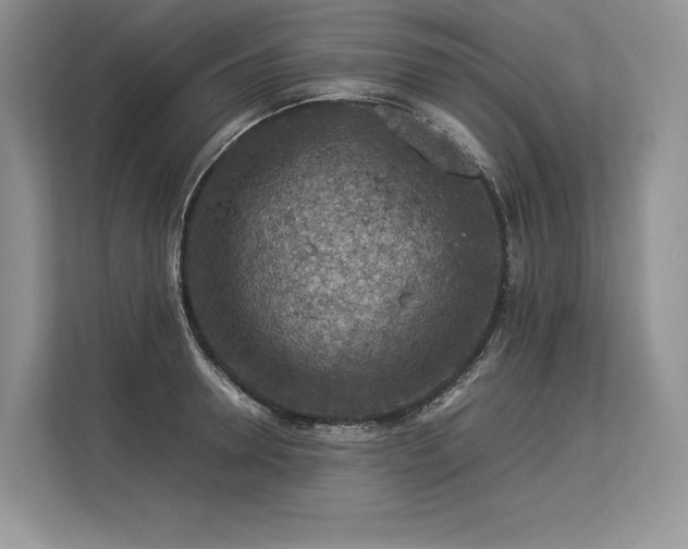 X0000113310946200909211139