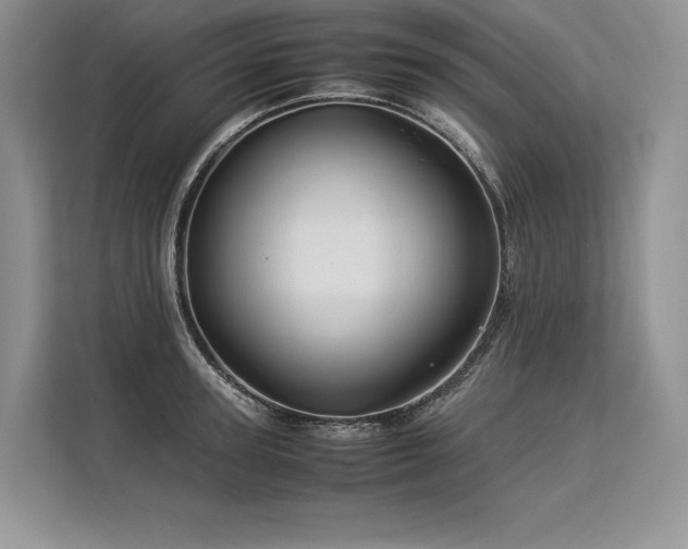 X0000113310947200909211139