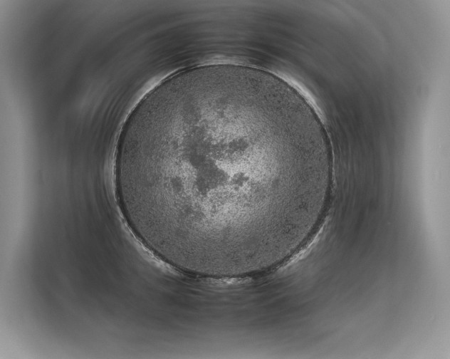 X0000113310949200909211139