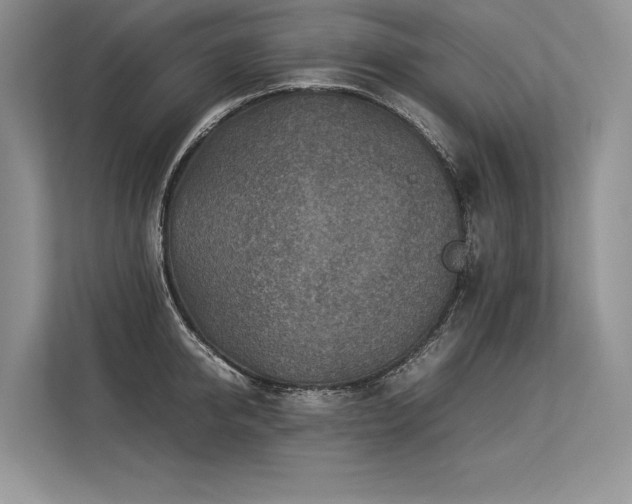 X0000113310950200909211139