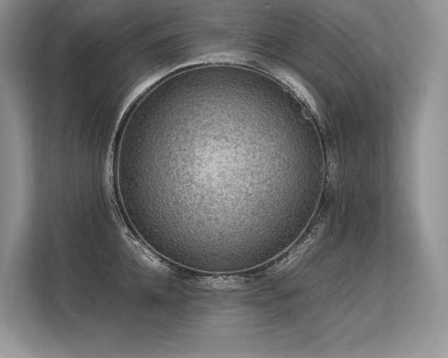 X0000113310952200909211139