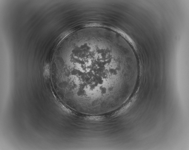 X0000113310953200909211139