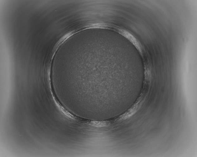 X0000113310954200909211139