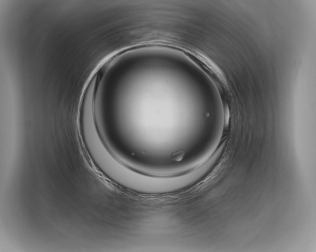 X0000113310956200909211139