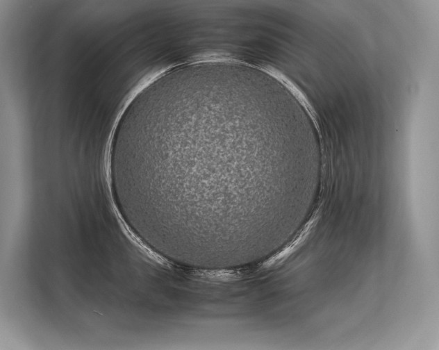 X0000113310957200909211139