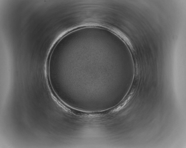 X0000113310958200909211139