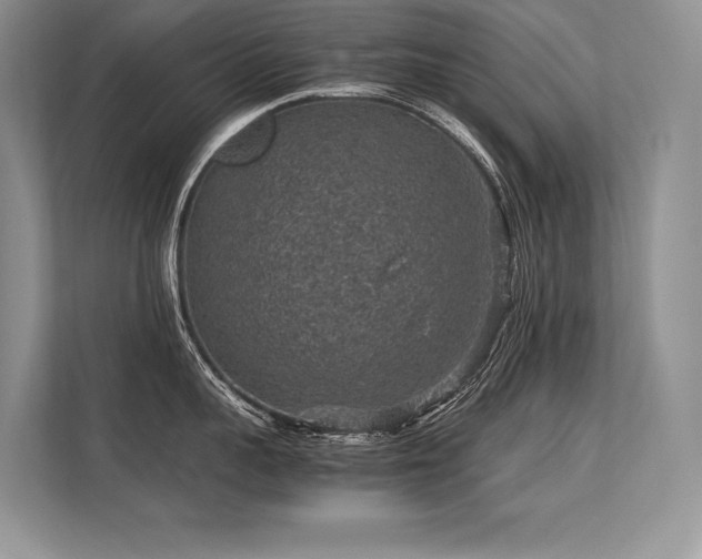 X0000113310959200909211139