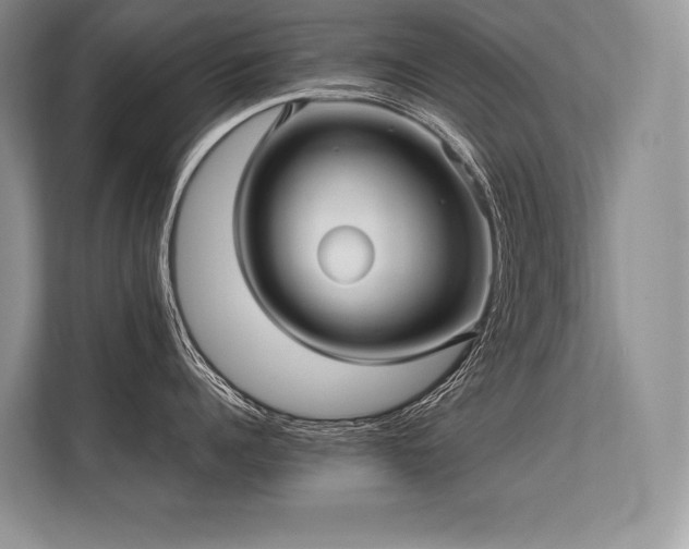 X0000113310960200909211139