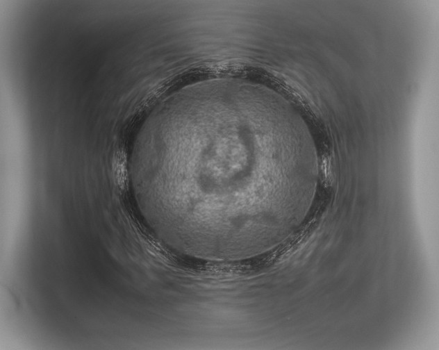 X0000113310963200909211139