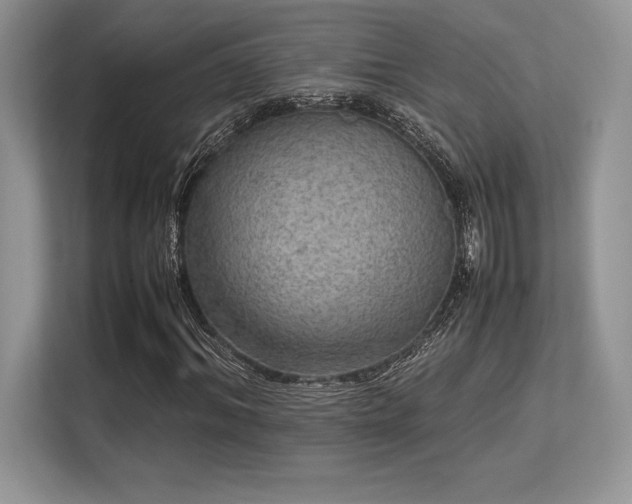 X0000113310964200909211139