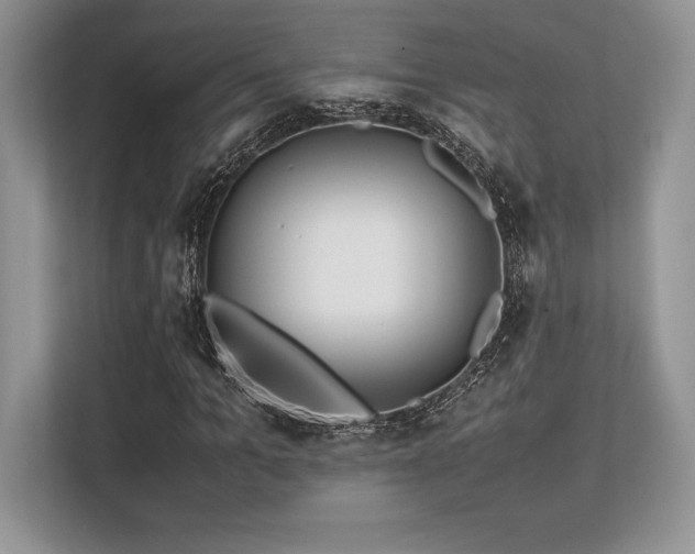 X0000113310965200909211139