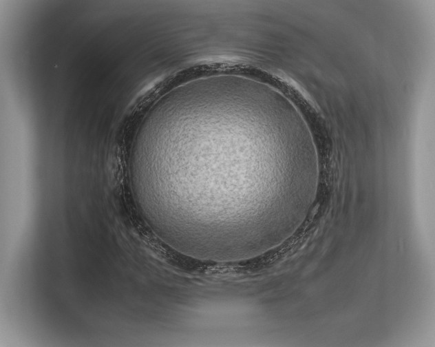 X0000113310967200909211139