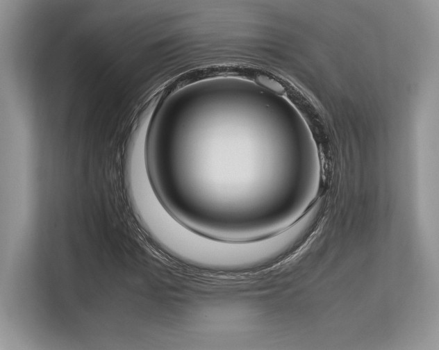 X0000113310969200909211139