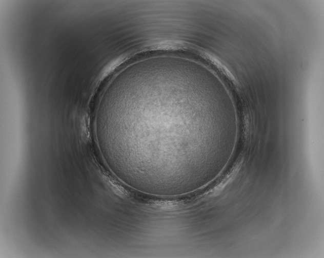 X0000113310970200909211139