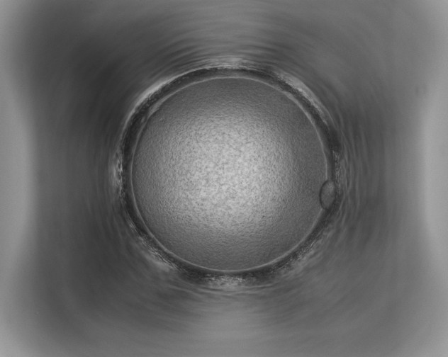 X0000113310971200909211139