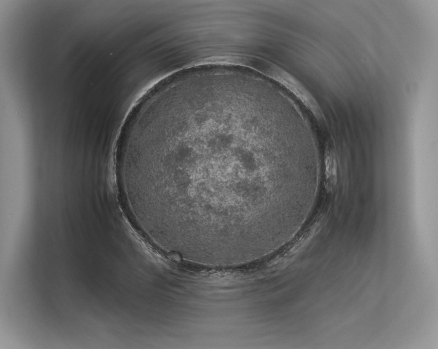 X0000113310972200909211139