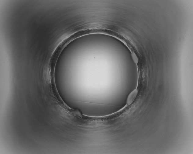 X0000113310973200909211139