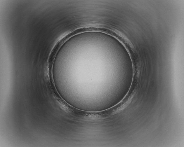 X0000113310974200909211139