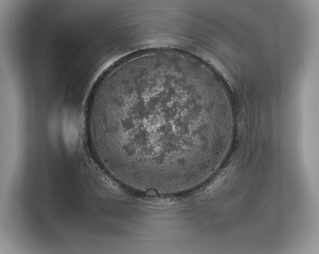 X0000113310975200909211139