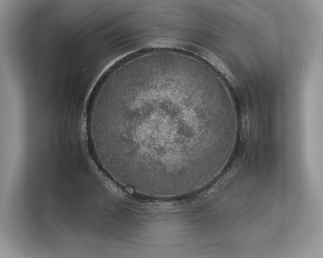 X0000113310976200909211139