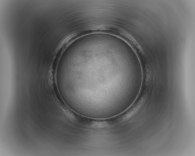 X0000113310978200909211138